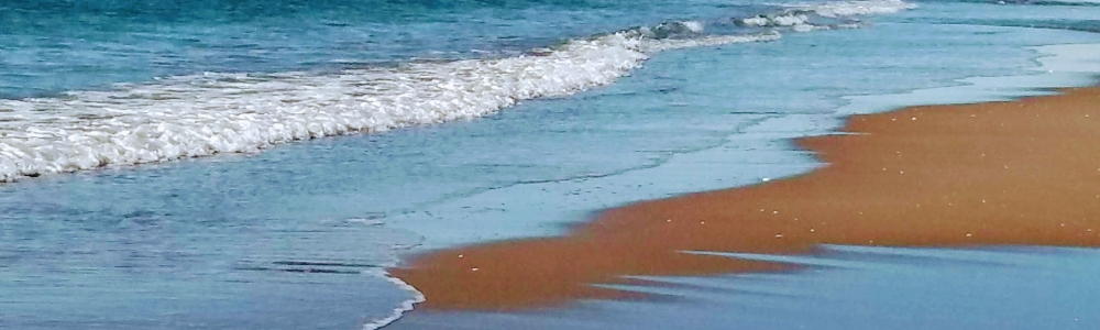 User banner image
