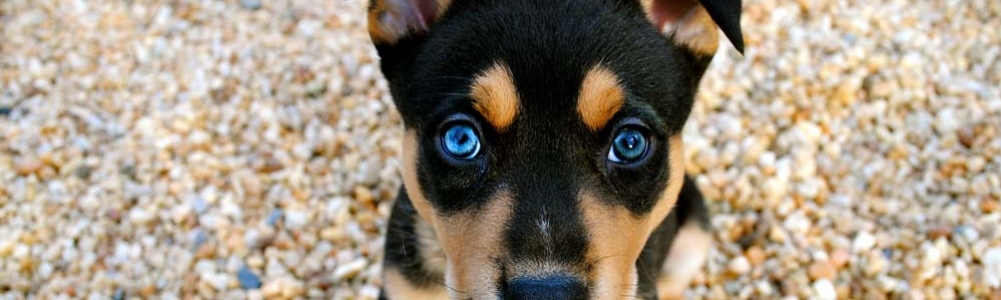 User banner image