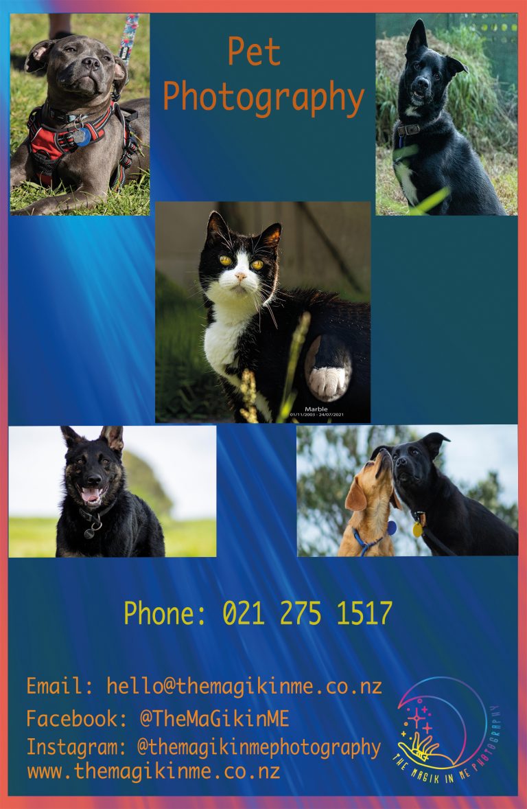 Pets July 2021 768x1178