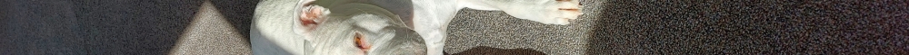 User banner image