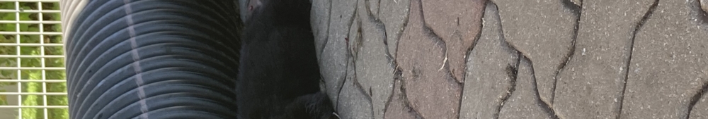 User banner image