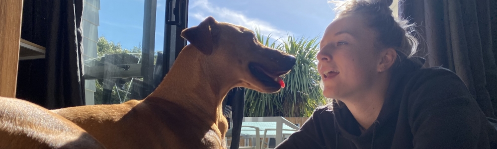 User banner image