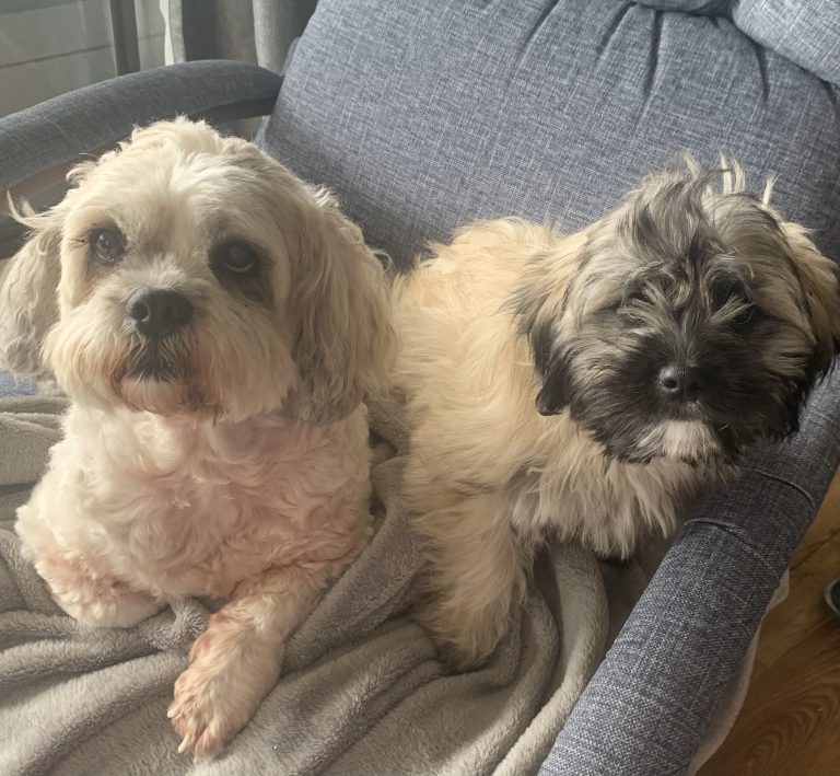 0195BF39 3B1B 4D5F B4AF 8A38F13D718B 768x709