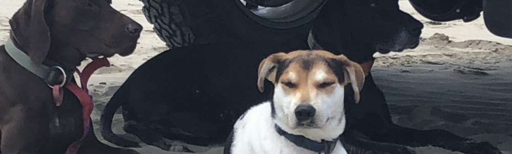 User banner image
