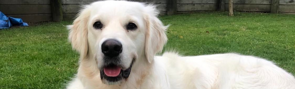 User banner image