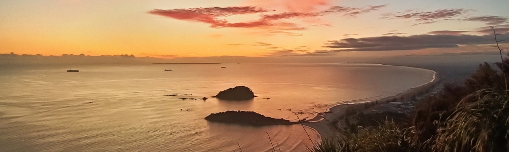 User banner image