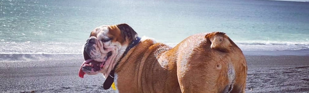 User banner image