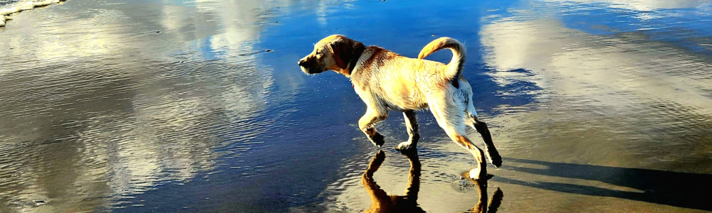 User banner image