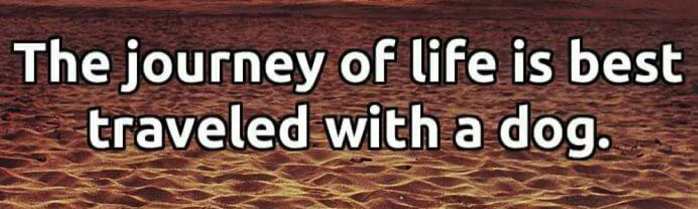 User banner image