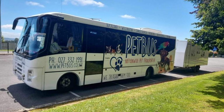 411137027 818975636905611 3245217648290116097 n 768x383