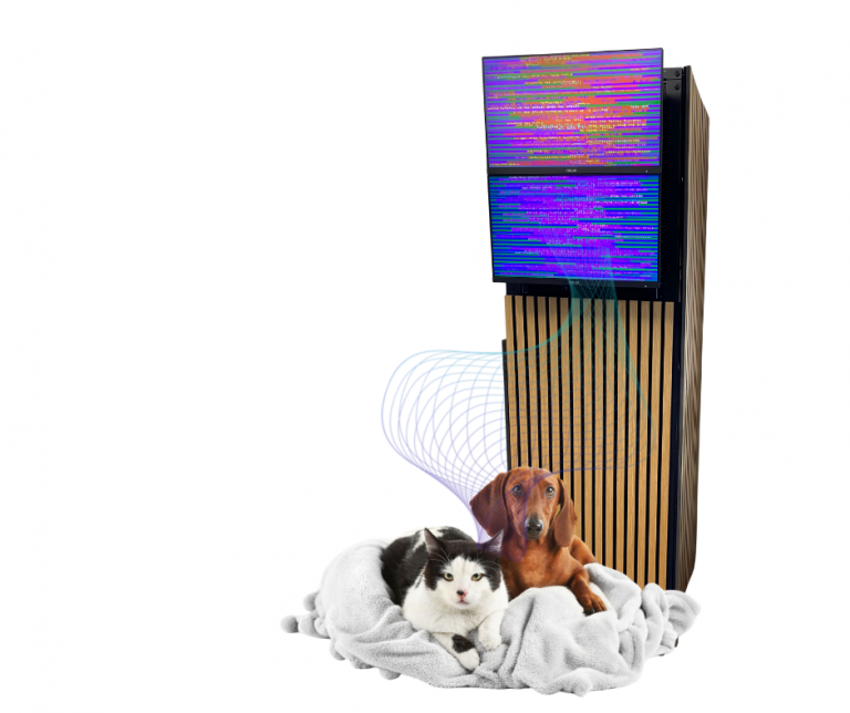 Cat Dog in Scalar Waves 768x644