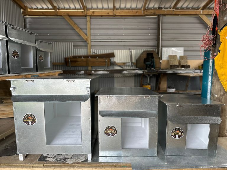 IMG 20250206 WA0055 768x576