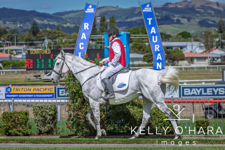 Kelly Fixed 1547 768x512