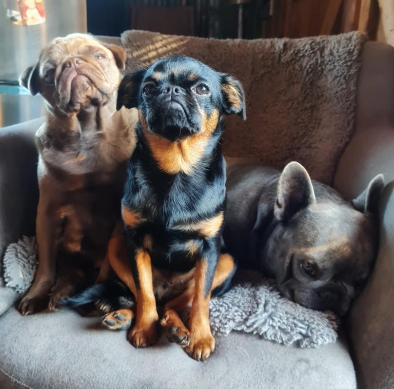 Messenger creation 2A996985 9F4A 4035 B48F CF00919F90EE 768x758