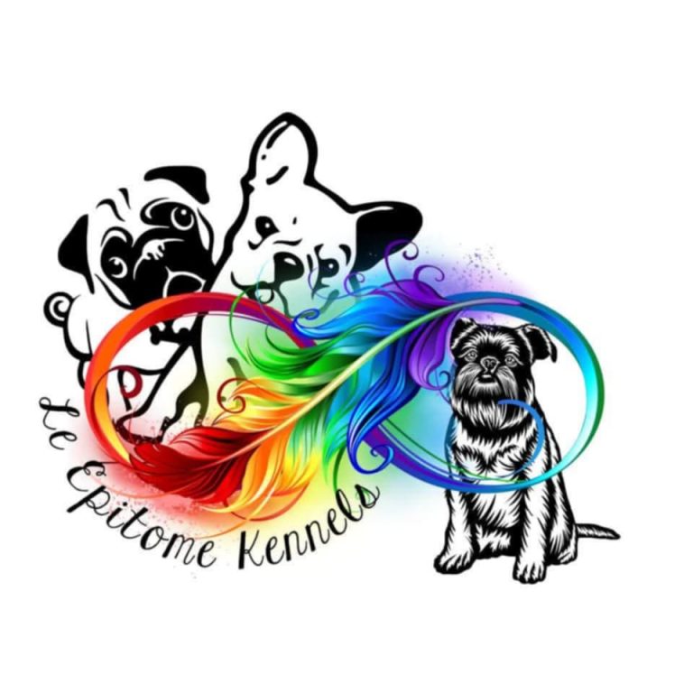 Messenger creation 8D56CC70 3E2A 4742 B70C C5149D6FB984 768x768