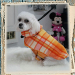 Picture of Wendy Lillian Keown