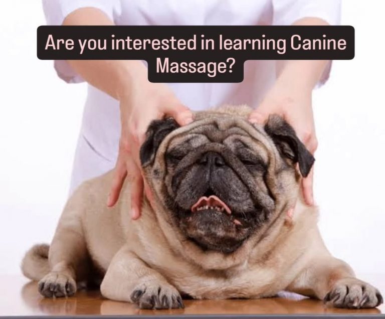 tempFileForShare 20250513 193849 768x636