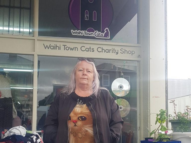 waihi town cats shop 768x575