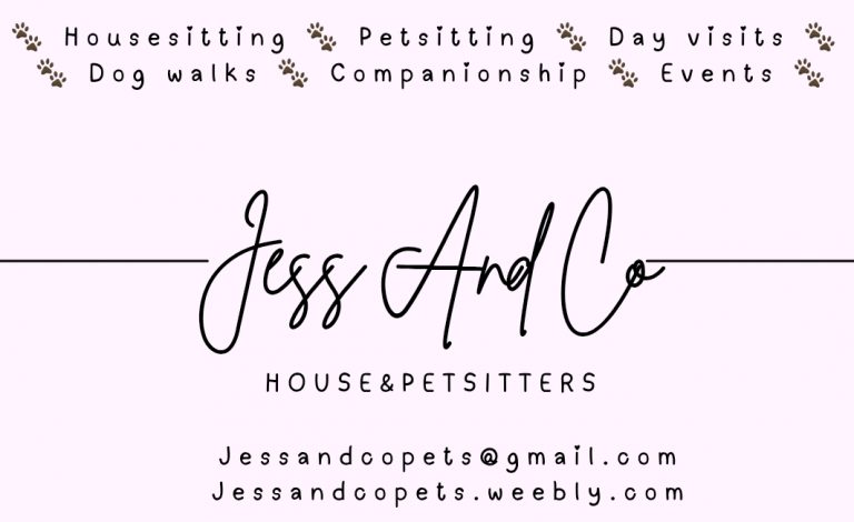 JESS AND CO 20250624 191806 0000 768x470