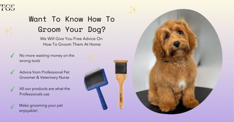 FB AD PP 1200 x 628 px 1 768x402