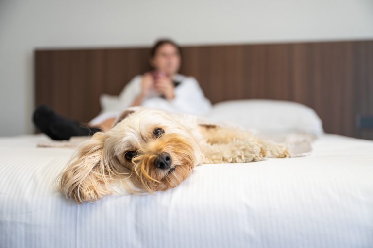 HWT January 2025 SJP 443 1 768x512