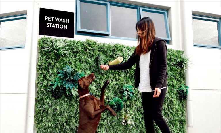 ROT Pet Wash Station with filter 768x465