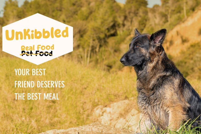 website header Y3 768x512