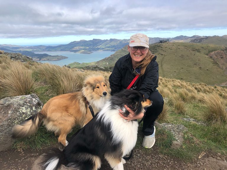 dog walking christchurch 768x576