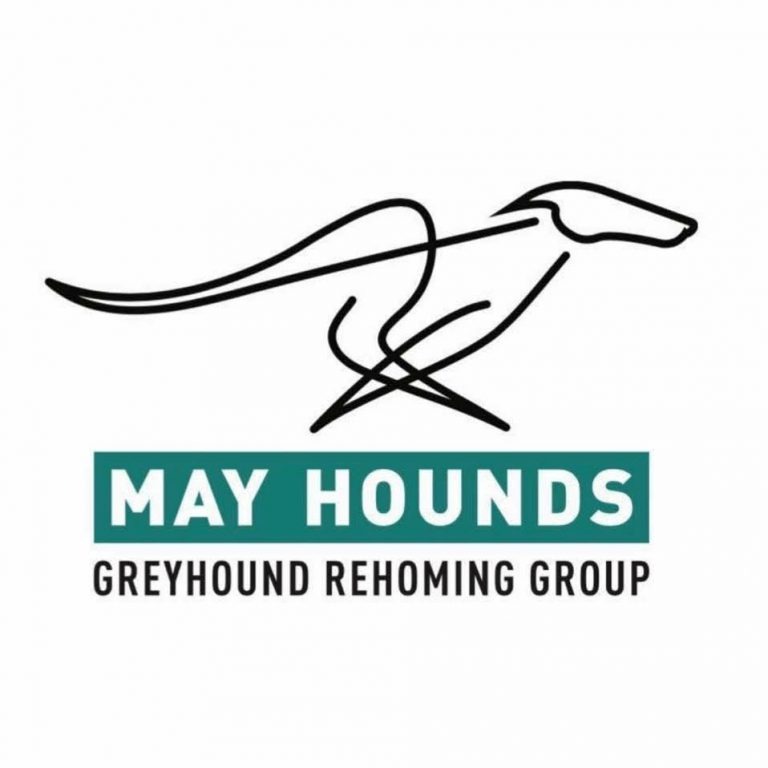 FB IMG 1764364468346 768x768