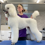 Picture of Summah Auvae