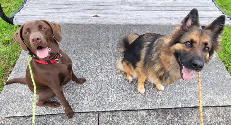 496801059 1724679084830712 7032305186579082366 n 768x416