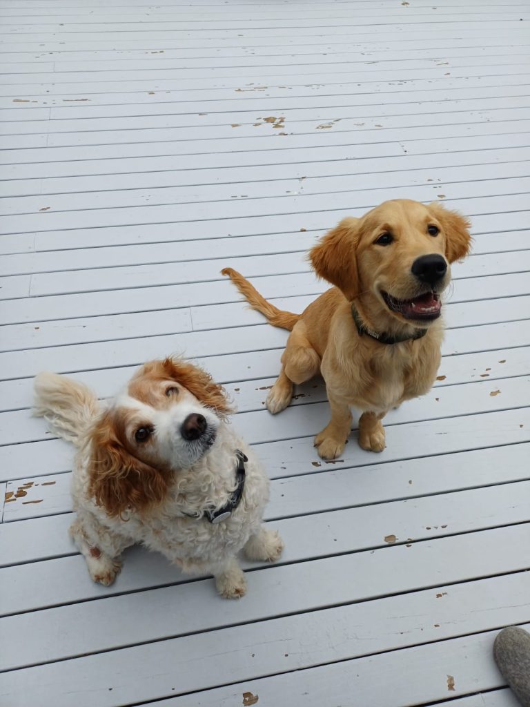 4a74a5e7 0b44 4812 92a8 6572dec46b20 768x1024