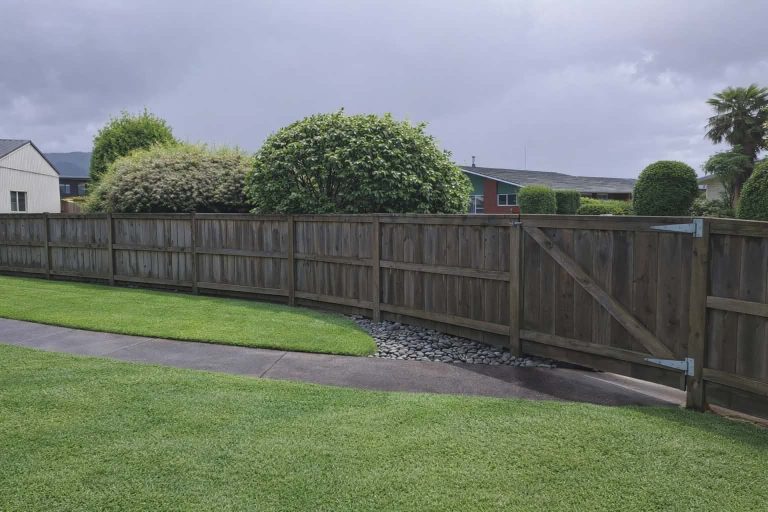 Messenger creation 3A25D51C 0EA4 4323 80D6 38A45409D1BC 768x512