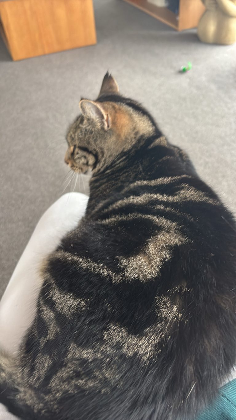 CA2F317D 84E8 4F12 9928 4B37BFE8EB6C 768x1365