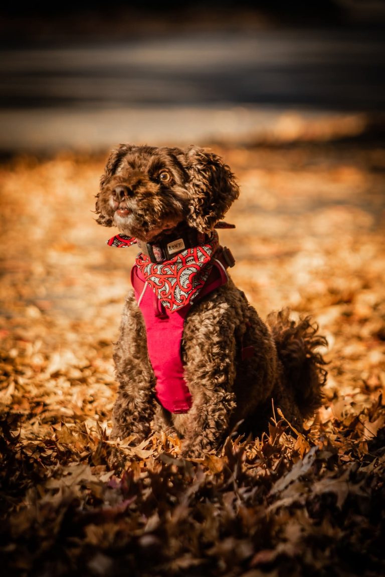 inbound6284691656158381087 768x1152