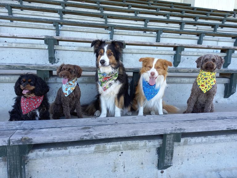 inbound7164667395968724461 768x576