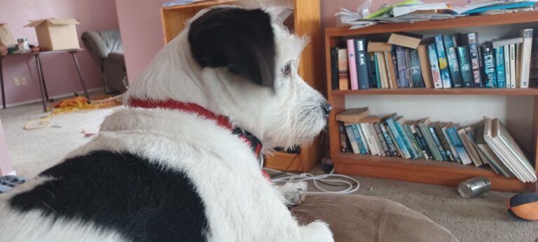 20220203 120646 768x346