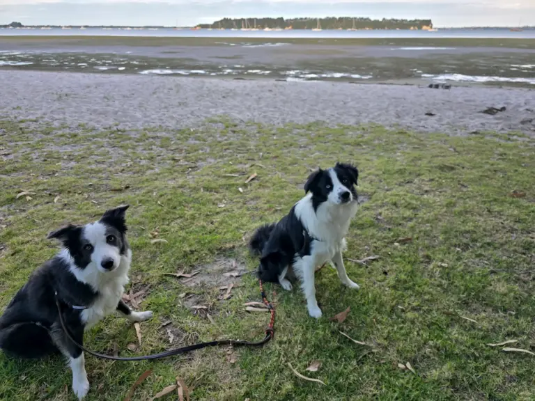 20260319 182445 768x576