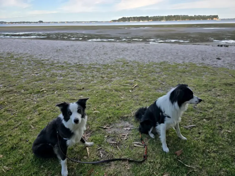 20260319 182449 768x576