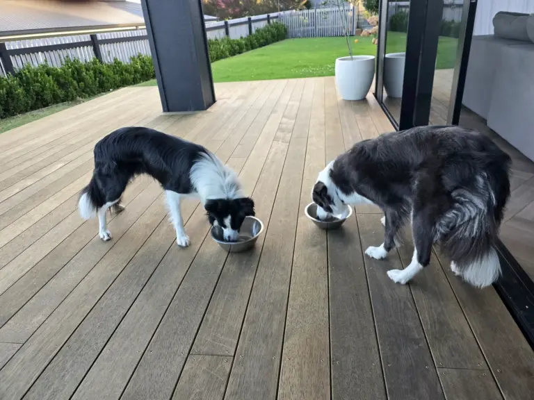 20260319 184707 768x576