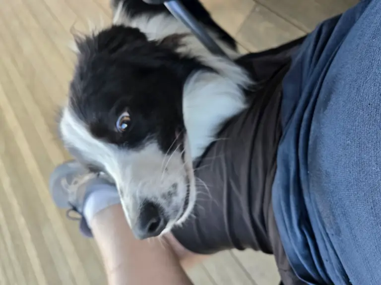 20260319 185044 768x576