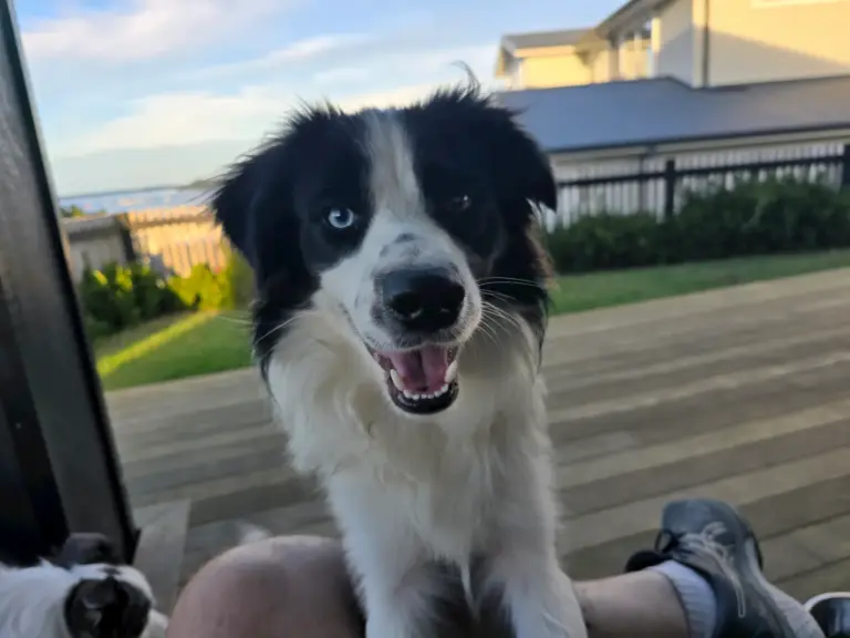 20260319 185051 768x576