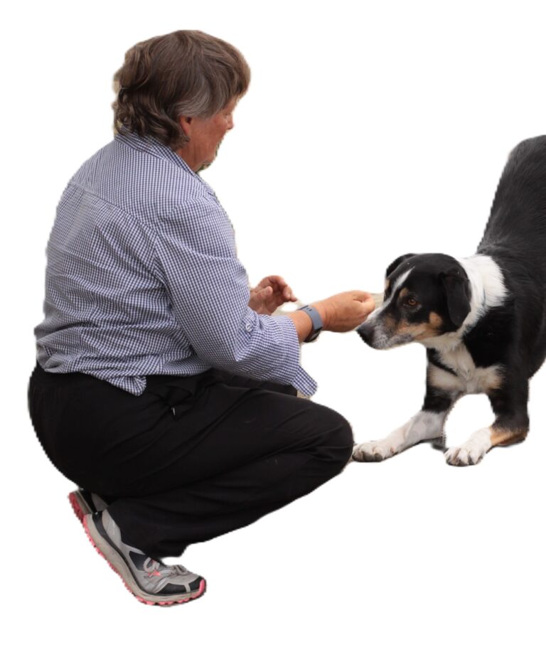 broige and me 768x910