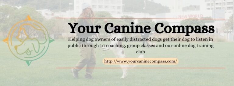caninecompass1 768x284