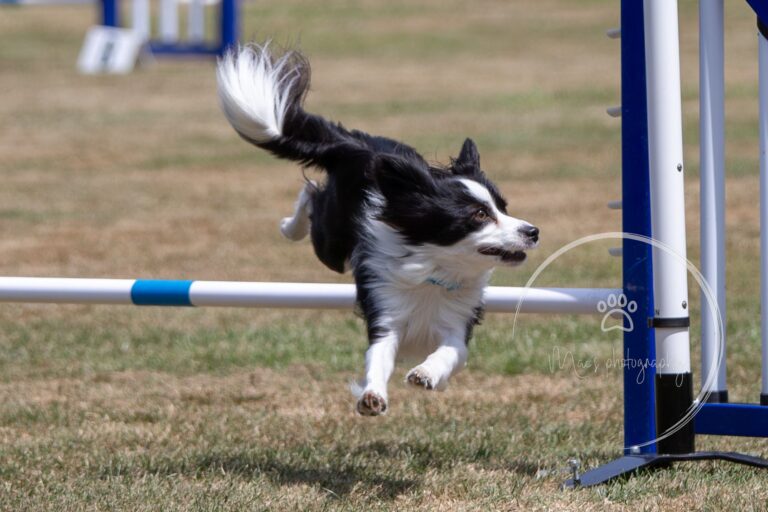 in syn feil 2 768x512