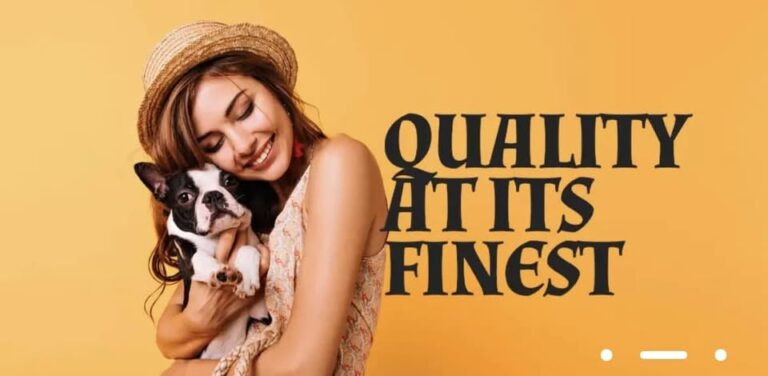 daisys delights1 768x376