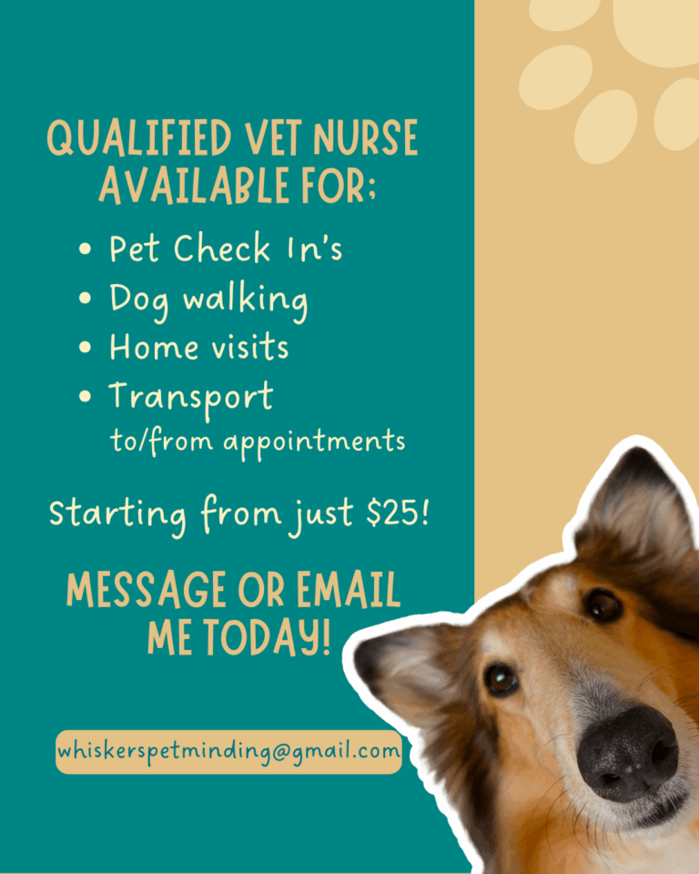 inbound2148520075661989890 768x960