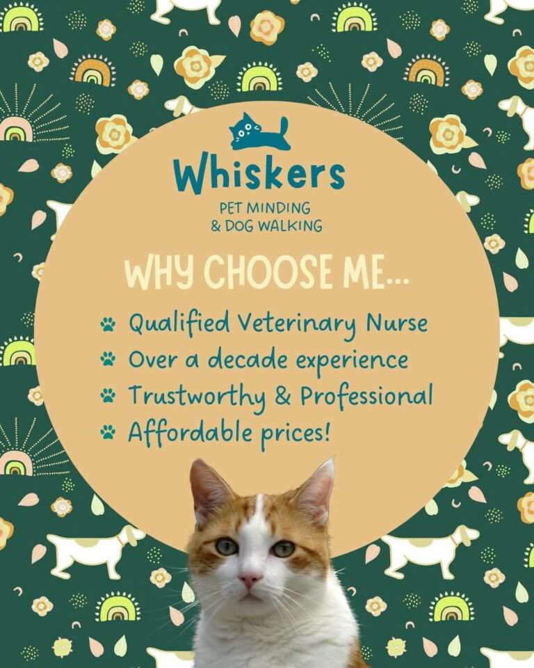 inbound7580032382397061570 768x960