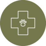 Animal health and pet transport icon, a medical cross with a paw print