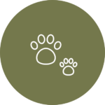 Cat and dog breeders icon, a parent paw print beside a baby paw print